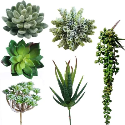 6 PCS Unpotted Fake suculentas surtido de Faux suculentos en diferentes plantas suculentas sintética Artificial colgando con textura suculenta recoger plantas colgantes Collar de perlas