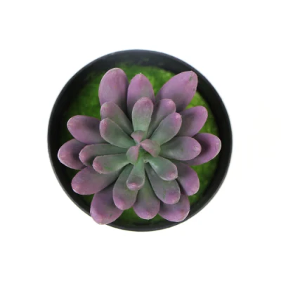 Casa en el interior decoración personalizada Mini artificiales plantas suculentas para dormitorios