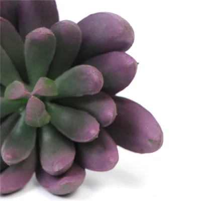 Casa en el interior decoración personalizada Mini artificiales plantas suculentas para dormitorios