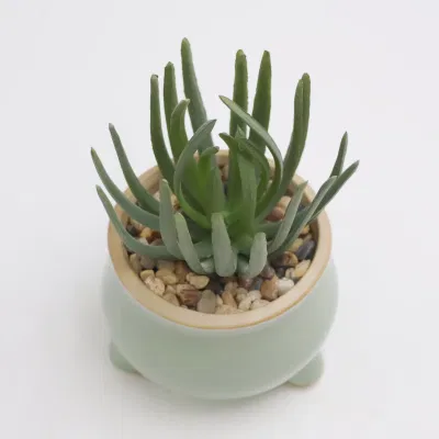 Negociar Precio planta Plástica planta Succulente plantas artificiales Succulentes para exterior Decoración
