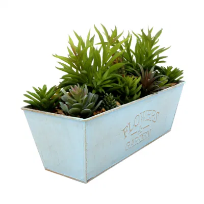 Macetas de plantas suculentas con macetas de cerámica para plantas artificiales Interiores Jardín de flores