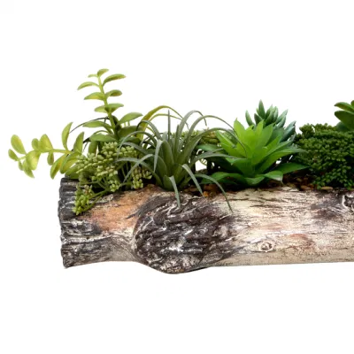 Macetas de plantas suculentas con macetas de cerámica para plantas artificiales Interiores Jardín de flores