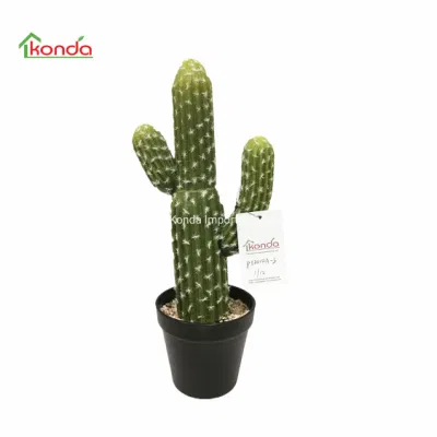 La decoración del hogar verdadero toque de simulación en maceta de plantas suculentas y cactus artificiales