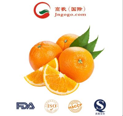 Naranjas de mandarín fresco de calidad superior (15kg-64-72/56 cartón)