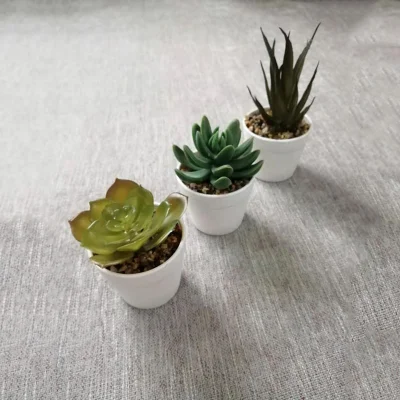 Macetas de plantas suculentas artificial de color verde para el hogar decoración de jardín plantas de boda