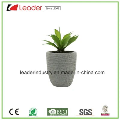 Mini suculentas Artificial falso interior planta en maceta de color verde con recipiente de cemento para el hogar y decoración de oficina
