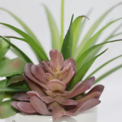 Suculento Artificial Plant Desktop Decor Artificial Plastic Potted Bonsai Succulent Plantas