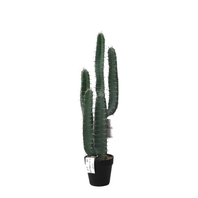 Artificial mayorista Maceteros PARA San Pedro Cactus Tailandia Gymnocalycium Cactus Bailarin para la decoración del paisaje del jardín