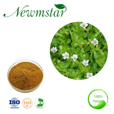Purslane falsas Extracto CAS: 90083-07-1/10: 1 Bacopa Monnieri/Extracto de un 50% de bacosides Pharmaceutica/antienvejecimiento