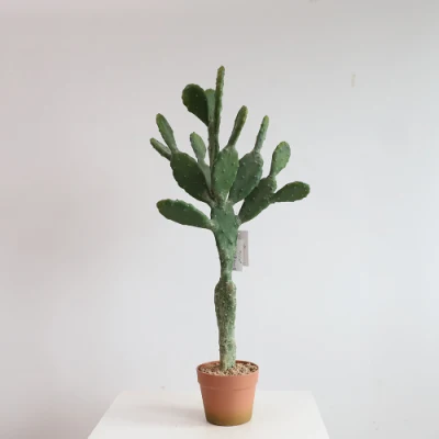La suerte de imitación barata de las Plantas artificiales para el hogar Outdoor Indoor Cactus Cactus Faux