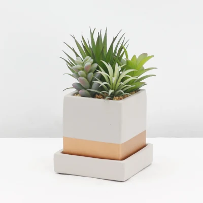 Ornamental Evergreen decoración de escritorio interior planta sucesora artificial pequeña Con Pot