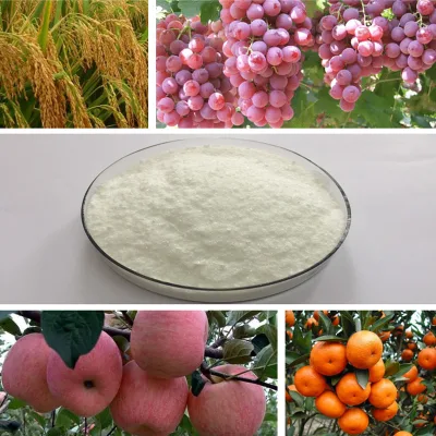 Los productos agrícolas CAS 1214-39-7 6 de la hormona de crecimiento de la planta citocinina-Ba