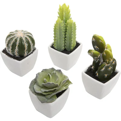 Juego de 4 Surtido de cactus y suculentas Artificial en miniatura en Potes