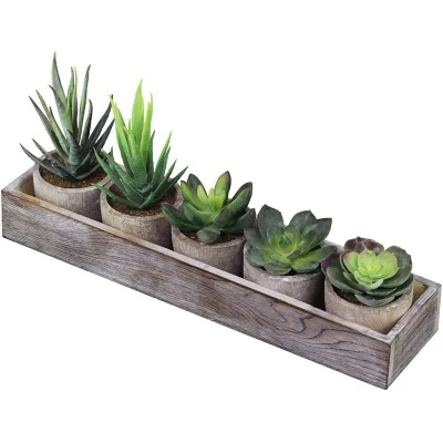 Juego de 5 Mini Fake suculento Cactus Aloe planta en maceta decorativa Artificial arreglos surtidos macetas con plantas suculentas en vasijas de madera gris