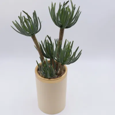 Casi Natural Mini Bonsai pequeños Suculentes artificiales Suculentes Interior Home Decoración
