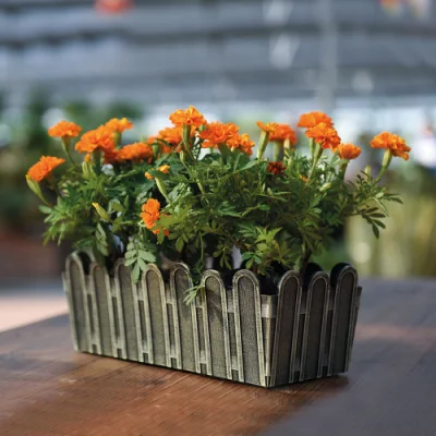Desktop valla Maceta de plantas suculentas (KD1162-KD1163)