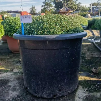 Interior y exterior todos los tamaños Jardín Vivero Plásticos Flores ollas 7gallon Plásticos para el Vivero