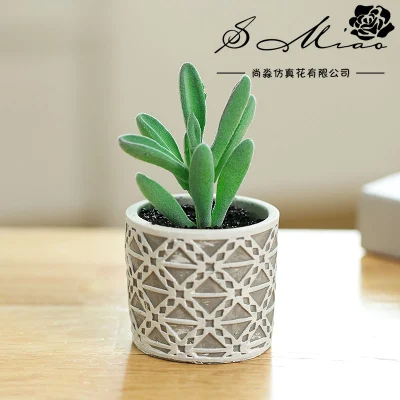 Bonsai plantas suculentas verdes para decoración de la casa de regalo de Navidad