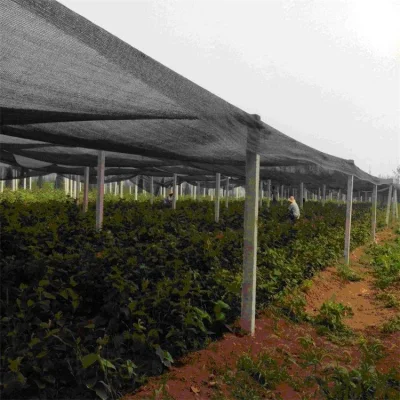 La sombrilla Net para la Agricultura suculentas
