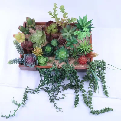 Planta Verde de Succulents artificiales al por mayor para la decoración del hogar Flor ornamental Olla