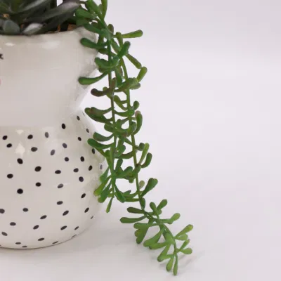 Suculento Bonsai Mini Green plantas Faux Interiores plantas artificiales para Decoración del hogar