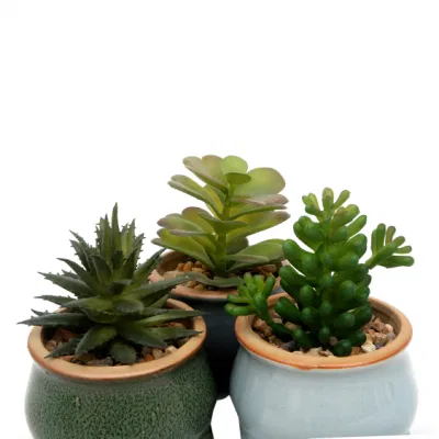 Simulación Cactus ornamentos Potted Home decoración plantas artificiales planta suculenta Bonsai