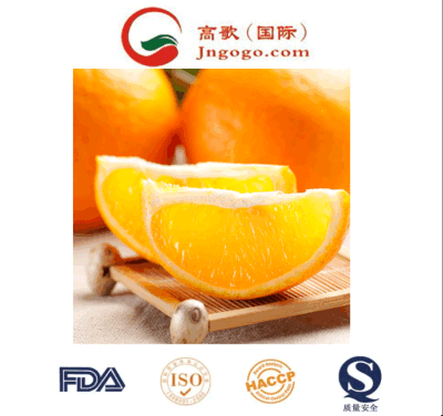 Deliciosos y dulces naranjas de mandarina: Seleccionados a mano para la frescura