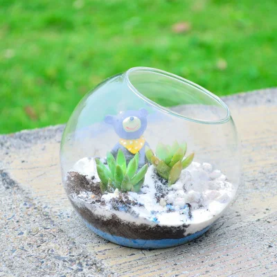 Comercio al por mayor unión oblicua creativo de la flor de planta suculenta transparente para la decoración florero de vidrio