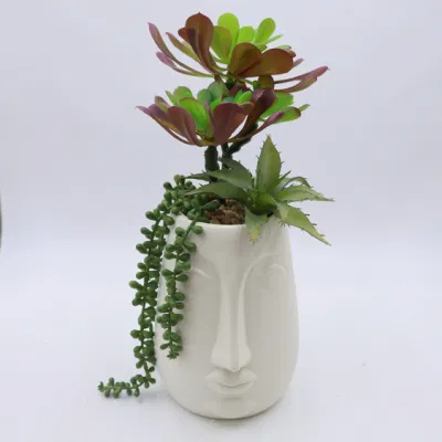 Comercio al por mayor de las Plantas Suculentas Pequeñas macetas de Artificial decoración escritorio