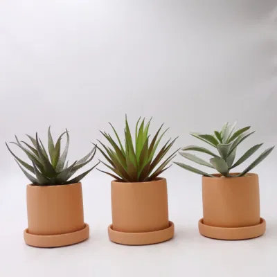 Mayorista en acciones Home Decor Nordic Pots plantas Plásticas Succulents Bonsai