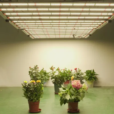 640W crecimiento de plantas de interior la luz colgadores ajustables, creciendo en todo el espectro de luz para la plántula Veg Flor suculentas frutas, Qu