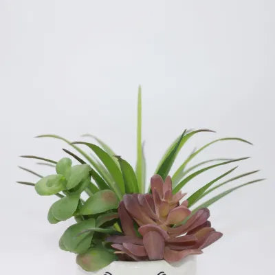 Suculento Artificial Plant Desktop Decor Artificial Plastic Potted Bonsai Succulent Plantas