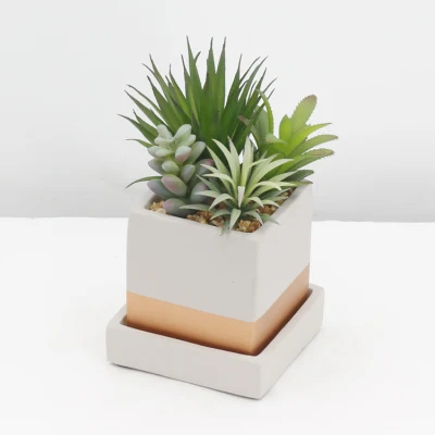 Ornamental Evergreen decoración de escritorio interior planta sucesora artificial pequeña Con Pot