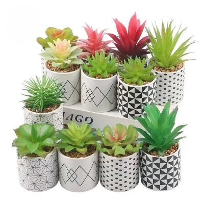 Mayorista decoración interior Alta calidad plástico Fake Mini Artificial Succulent Planta con Pot