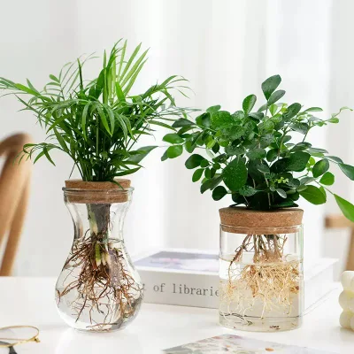 Suministros de fábrica barata de altura del cilindro de Casa de los países nórdicos decoraciones modernas de la boda claro Vidrio de borosilicato Flor florero de vidrio con corcho