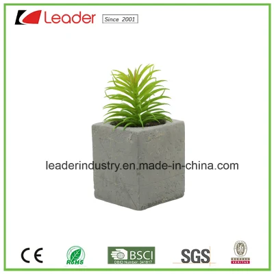 Mini suculentas Artificial falso interior planta en maceta de color verde con recipiente de cemento para el hogar y decoración de oficina