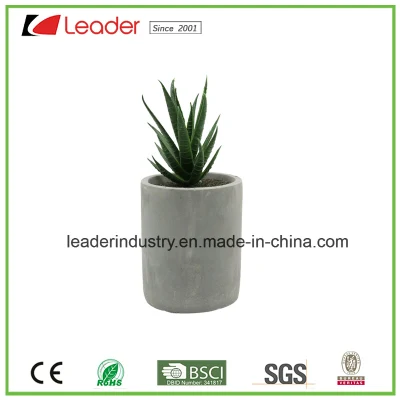 Mini suculentas Artificial falso interior planta en maceta de color verde con recipiente de cemento para el hogar y decoración de oficina