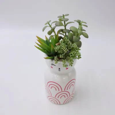 Interior Natural Color plantas suculentas plantas vivas artificiales Bonsai planta Succulente Plantas