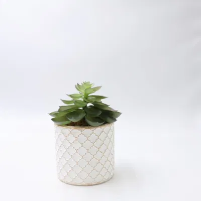 La suculenta Macetas jardineras maceta bonsái pequeño artificial con maceta de cerámica de suculentas