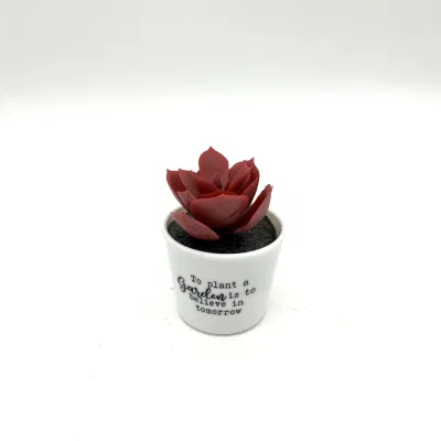 Simulación Succulents plantas de pequeñas plantas cubiertas Fake Fake Flores Verde Ornamentos de planta