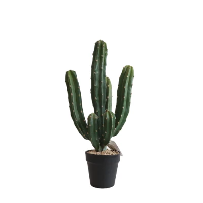 Comercio al por mayor exportación Mini Cactus decorativos para interiores de plástico de la planta en maceta de color verde de Cactus Cactus raros Artificial árbol Bonsais
