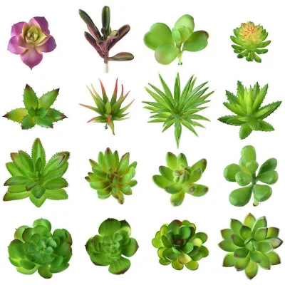 16 equipos mixtos de suculentas las plantas de flores artificiales decoración Unpotted Falsos tallos de plantas suculentas grueso surtido de selecciones para la decoración del hogar