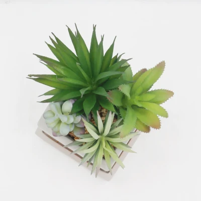Ornamental Evergreen decoración de escritorio interior planta sucesora artificial pequeña Con Pot