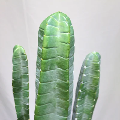 Los precios baratos de Cactus artesanales de gran altura Faux Cactus plantas decorativas de 145cm.