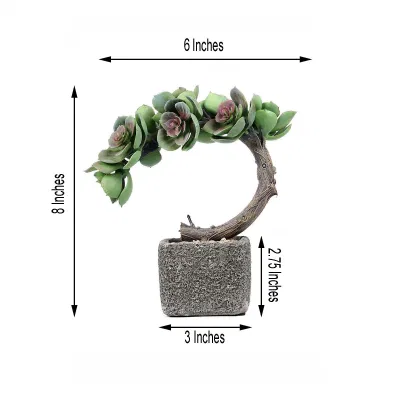 Plantador de concreto y Willow Tree Succulent Palnt 2023 Diseño Planta artificial