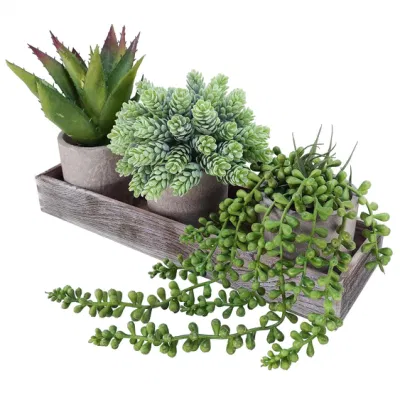 Interior decoración verde Mini Potted Artificial Succulent Fake Plant