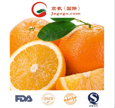Los mejores naranjas de mandarín de China: Seleccionados a mano para la frescura