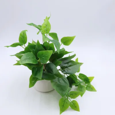 Cerámica barata Natural Artificial plantas suculentas Bonsai con Pot para la decoración del hogar