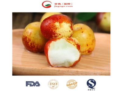 Cosecha Premium de Jujube de invierno de China