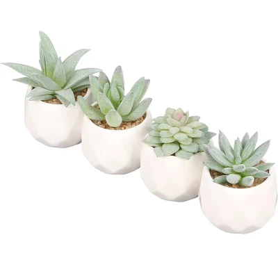 Verde con estilo personalizado diferentes de plantas suculentas artificial en el cemento Pot Tiendas de regalos Sala de estar